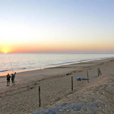 Sauzelle By Interhome Saint-Georges-d'Oleron