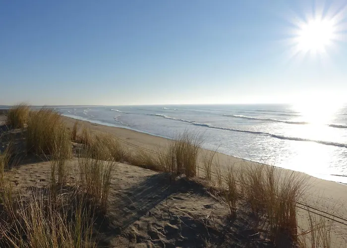 Sauzelle By Interhome Holiday home *