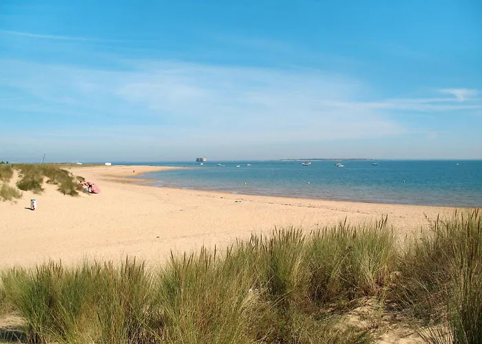 Sauzelle By Interhome Saint-Georges-d'Oleron